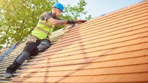 Best Skylight Installation and Repair  in Crystal, MN